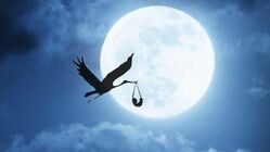 不妊治療における体外受精費用 のトップ画像