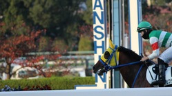 引退競走馬の新しい道を作ろう のトップ画像