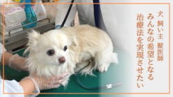 事故などで脊髄損傷を負った動物たちを救うため、再生医療の研究を のトップ画像