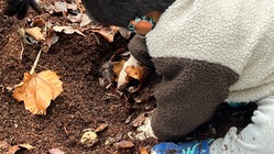 募集期間　残り５日となりました。