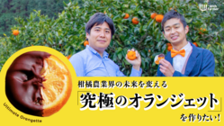 柑橘農業界の未来を変える、究極のオランジェットを作りたい！ のトップ画像
