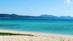 コロナで失業から移住を繰り返しプロゴルファーを目指す中年の夢 のトップ画像