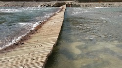 あなたは鮭の里親 のトップ画像