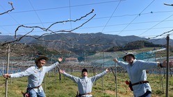 観光ぶどう園の看板をアップサイクルされたパレット材で新調したい！ のトップ画像