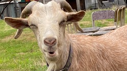 アトリ基金でつなげよう　〜自然と人と学びとこころ〜 のトップ画像