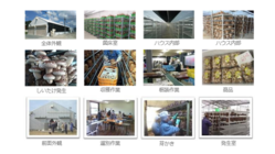 みんなに笑顔を！就労支援と椎茸栽培で日本を元気に！！ のトップ画像