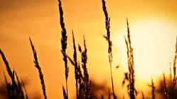 運送会社設立のご協力お願い のトップ画像