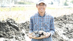 愛西市の伝統的なレンコンの品種を持続させるため のトップ画像