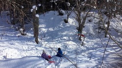 本当のその子らしさが輝くシュタイナー教育の奨学生への道を作りたい！ のトップ画像