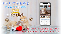 ペット飼育者をつなぐコミュニティアプリを多くの人に使ってもらいたい のトップ画像