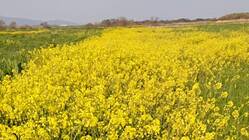 新政党へ！「日本製塾」を全国６か所で開催！日本製を守りたい！！ のトップ画像