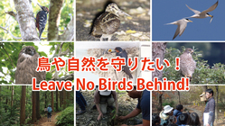 鳥サポーター募集中｜鳥と人の共生を目指す活動にご支援を！ のトップ画像