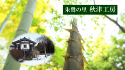 築100年の蔵を改築して、歴史を繋ぎたい！ のトップ画像