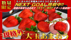 大きすぎて規格外の大玉あまおうを食べて欲しい！災害・コロナから復活 のトップ画像
