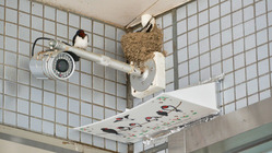 ツバメの子育てを守る活動 のトップ画像