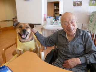 日本で唯一！ペットと暮らせる老人ホームの犬・猫達を守りたい のトップ画像