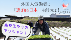 日本で働く外国人を招いた国際交流運動会を開催したい！ のトップ画像