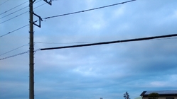 果樹園開設 のトップ画像