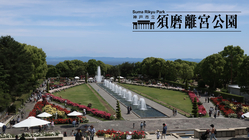 須磨離宮公園｜市民と公園を繋ぐ挑戦！バラ園が咲き誇る美しい庭園へ のトップ画像