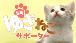 ゆきねこサポーター募集中｜保護猫シェルター幸せの家へご支援を のトップ画像