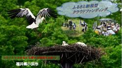 コウノトリも棲める、地元の環境を整備したい！ のトップ画像