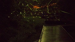 自分で作る理科の資料集を作りたい のトップ画像