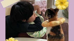 自宅生活困難な自閉症の息子のために軽キャンピングカーを購入したい！ のトップ画像