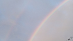 ミラクルオイルのヨモギオイルを全国へ のトップ画像