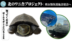 北のワニ舎｜札幌に爬虫類保護施設をつくり、命の大切さを伝えたい！ のトップ画像