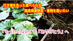 行き場を失った食べられる国産廃棄野菜、果物を救いたい のトップ画像