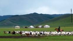 民間モンゴル語学校の維持と発展のために のトップ画像