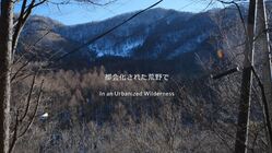 長野県の山荘と周辺の森で開く展覧会「都会化された荒野で」へのご支援 のトップ画像