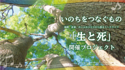 生きることが苦しい人へ、人生の道を照らすイベント開催プロジェクト のトップ画像