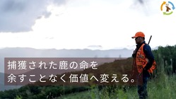 大槌で育った鹿の命を「ボーンブロス」に変えてジビエ文化を広めたい のトップ画像