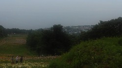 地域密着型サロン開設で子供たちを多くの目で見守れる安全な街を のトップ画像