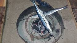 「古民家改造」「アウトドア」「DIY」楽しめる遊び場 のトップ画像