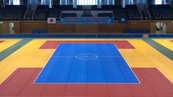 野々市市でドッジボールチームを立ち上げたい のトップ画像