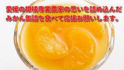 再挑戦！内皮がついたままの柑橘農家の思いが詰まった缶詰を届けたい！ のトップ画像