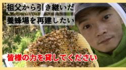 祖父が大事にしてきた養蜂園を復活させ美味しい蜂蜜を届けたい のトップ画像