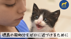 徳島県の犬猫殺処分数ゼロを目指して。HEARTの活動にご支援を！ のトップ画像