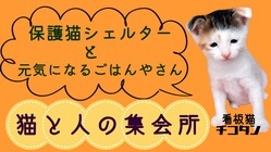 ごはんねこまる営業再開とイベントのお知らせです♪