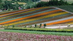 北海道 農地再生 プロジェクト のトップ画像