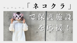 【＃ネコクラ】ネコのクラッチバックを手に入れて保護猫施設を支援！ のトップ画像