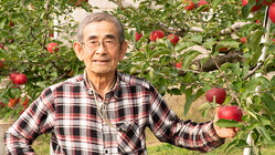 岩手県奥州市のおいしいりんご農家の販売の協力をお願いします。 のトップ画像