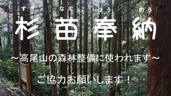 高尾山の杉並木 のトップ画像