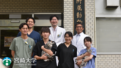 宮崎大学｜SFTSから猫と人を守るためのシェルターを作製したい！！ のトップ画像