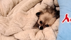 教員になりたい。 のトップ画像