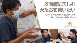 皮膚病で苦しむ犬たちを救いたい！腸内細菌叢の研究にご支援ください のトップ画像