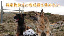 捜索救助犬の育成費を集めたい のトップ画像