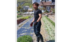 僕の作った野菜を全国の人に食べてもらいたい のトップ画像